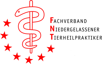FNT logo transparent 10